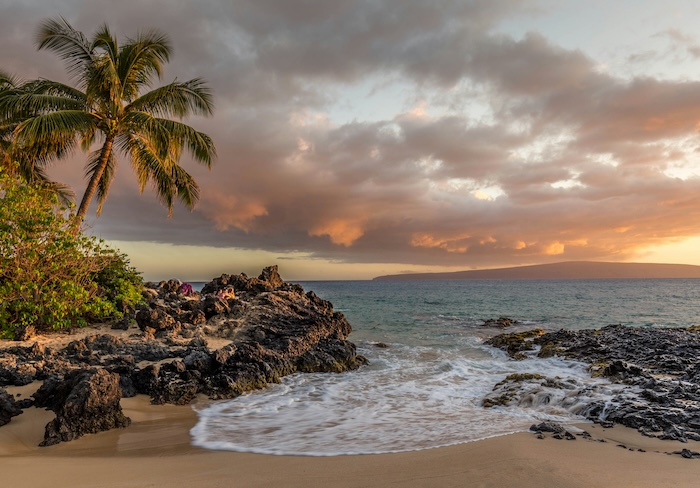 Hawaii Rental Application