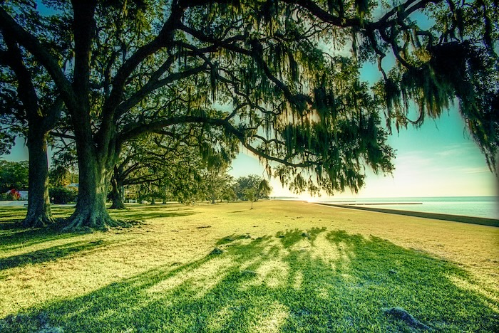 Louisiana Tenant Background Check